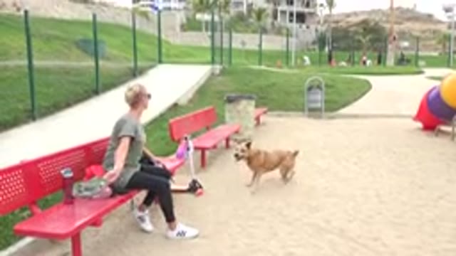 SAN JOSE DEL CABO MEXICO-2019: Woman Wearing Grey Shirt Throws Black Object For