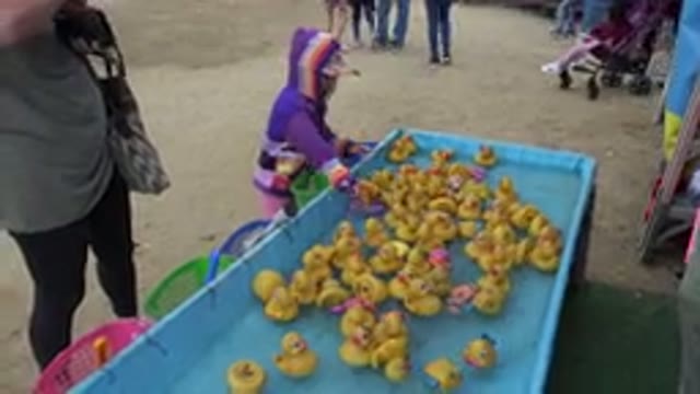 SAN JOSE DEL CABO MEXICO-2019: A Little Girl Scoops Water From A Pool With Ducks