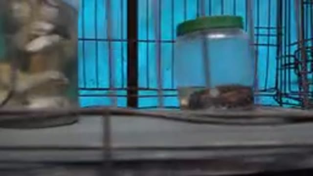 SAN JOSE DEL CABO MEXICO-2019: View Of Objects In Clear Specimen Jars In Black