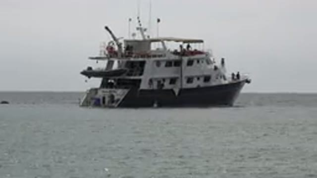 SAN JOSE DEL CABO MEXICO-2019: Cruise Board Sailing In Sea