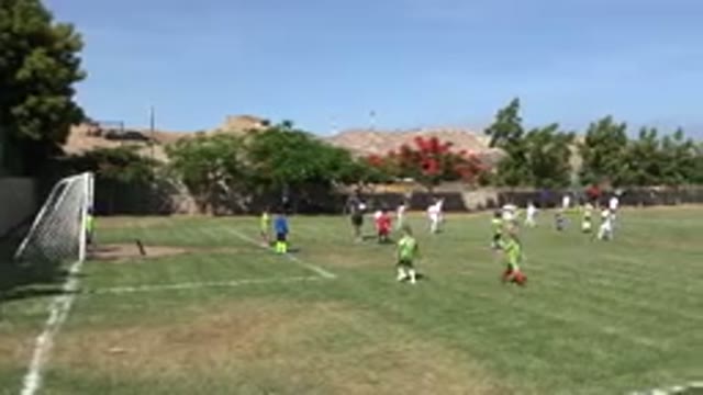 SAN JOSE DEL CABO MEXICO-2019: Man Wearing Grey Shirt Sets White Ball Down On Grass