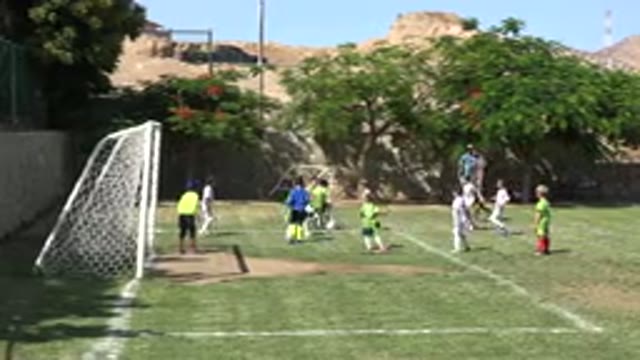 SAN JOSE DEL CABO MEXICO-2019: Peacock Bird Free Roaming Zoo Grounds Showing