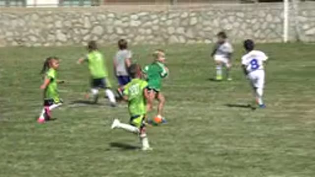 SAN JOSE DEL CABO MEXICO-2019: Many Children At A Football Game On A Football Field