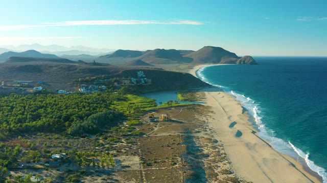TODOS SANTOS BCS MEXICO-2021: Swaying Coastal Vegetation by Sandy Beach