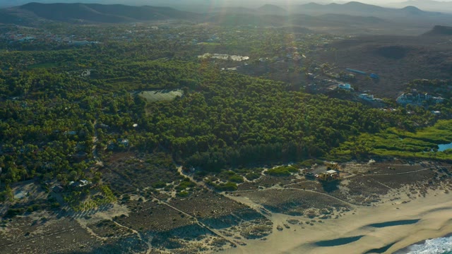 TODOS SANTOS BCS MEXICO-2021: Sandy Shore and Forested Coastline