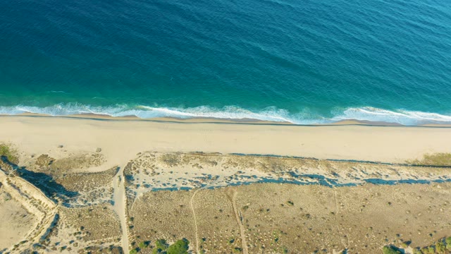 TODOS SANTOS BCS MEXICO-2021: Sandy Beach and Dunes by the Ocean