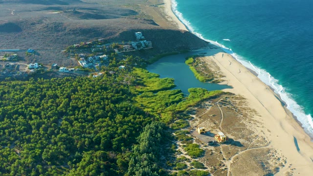 TODOS SANTOS BCS MEXICO-2021: People Walking Along Coastal Beach near Forest