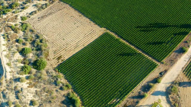 TODOS SANTOS BCS MEXICO-2021: Shadows Moving Across Farm Fields From Above