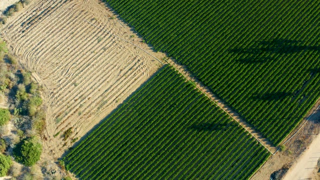 TODOS SANTOS BCS MEXICO-2021: Tilled and Green Farm Fields From Above