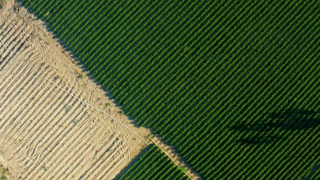 TODOS SANTOS BCS MEXICO-2021: Tilled and Green Agricultural Fields From Above