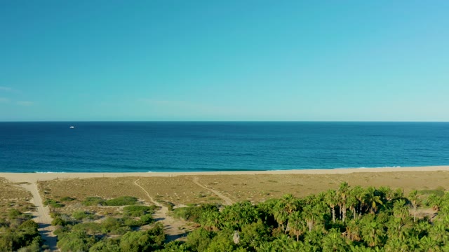 TODOS SANTOS BCS MEXICO-2021: Coastal Dunes and Ocean with Palm Trees