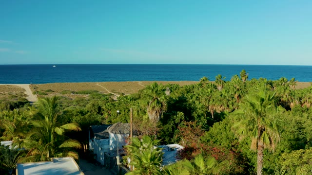 TODOS SANTOS BCS MEXICO-2021: Coastal Landscape with Palm Trees and Buildings