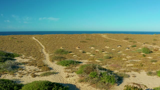 TODOS SANTOS BCS MEXICO-2021: Coastal Dunes and Sandy Trail by the Ocean