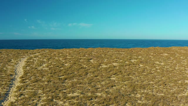 TODOS SANTOS BCS MEXICO-2021: Dune Slope Exposing Sandy Beach and Ocean