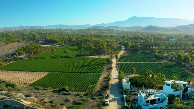TODOS SANTOS BCS MEXICO-2021: Agricultural Fields and Car Traveling on Rural Road