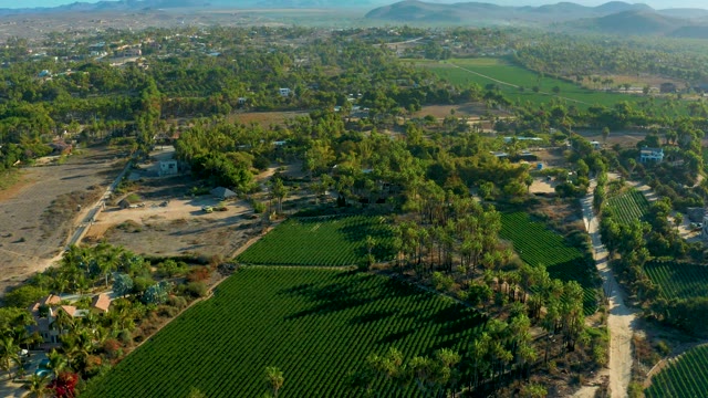 TODOS SANTOS BCS MEXICO-2021: Rural Agricultural Fields with Mountain Backdrop
