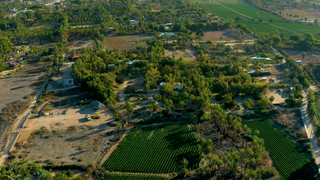 TODOS SANTOS BCS MEXICO-2021: Rural Crop Fields and Tree Clusters From Above