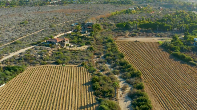 TODOS SANTOS BCS MEXICO-2021: Rural House and Cultivated Fields in Open Landscape
