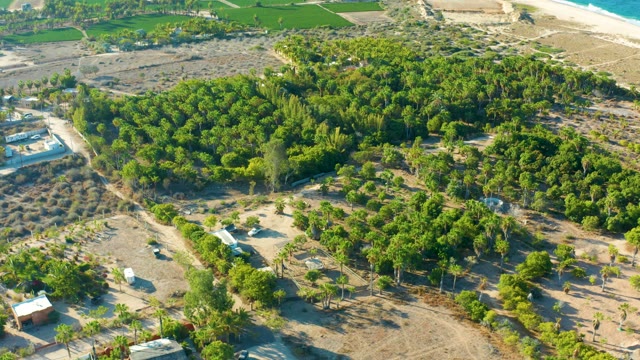 TODOS SANTOS BCS MEXICO-2021: Vanishing Structures in a Tree-covered Landscape