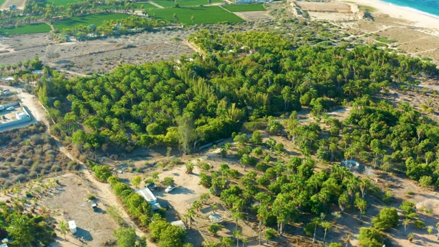 TODOS SANTOS BCS MEXICO-2021: Aerial Pan Over Farm and Tree Clusters