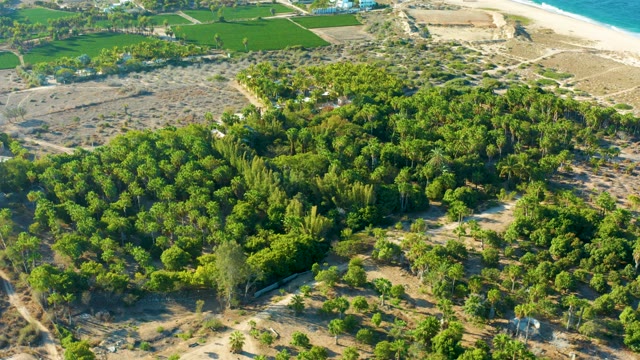 TODOS SANTOS BCS MEXICO-2021: Dense Forest with Agricultural Fields and Beach