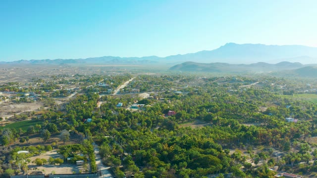 TODOS SANTOS BCS MEXICO-2021: Suburban Area with Dense Trees and Mountain Backdrop