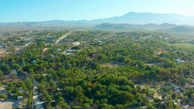 TODOS SANTOS BCS MEXICO-2021: Residential Neighborhood with Tree-Lined Streets and Distant Mountains