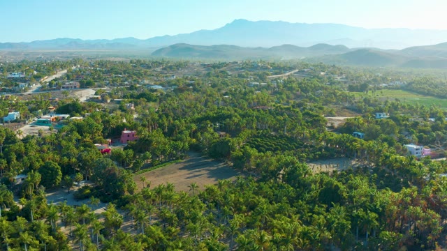 TODOS SANTOS BCS MEXICO-2021: Suburban Neighborhood with Tree-Lined Streets and Distant Mountains