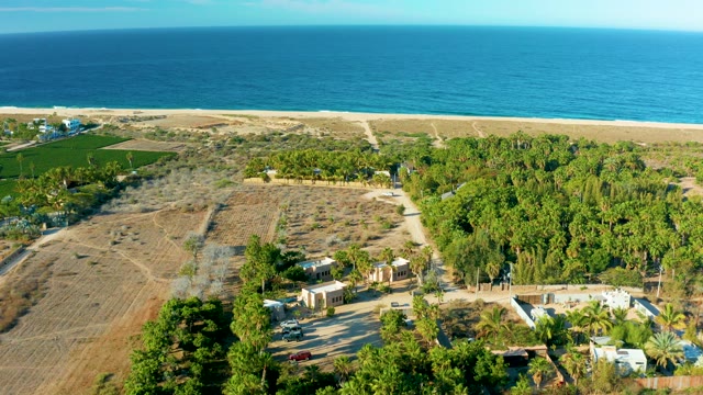 TODOS SANTOS BCS MEXICO-2021: Coastal Fields and Forested Shoreline From Above