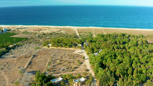 TODOS SANTOS BCS MEXICO-2021: Coastal Farmland and Tree Grove near Ocean