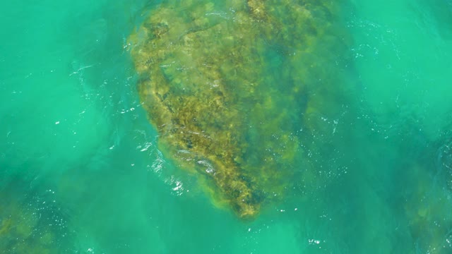 DREAMS LOS CABOS BCS MEXICO-2021: Mossy Rock in Clear Turquoise Water