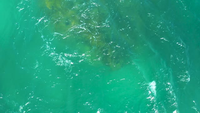 DREAMS LOS CABOS BCS MEXICO-2021: Kelp Patches Drifting in Turquoise Ocean Water