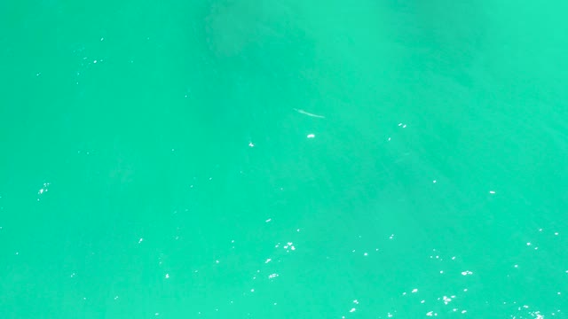 DREAMS LOS CABOS BCS MEXICO-2021: Clear Turquoise Water with Fish Swimming Below