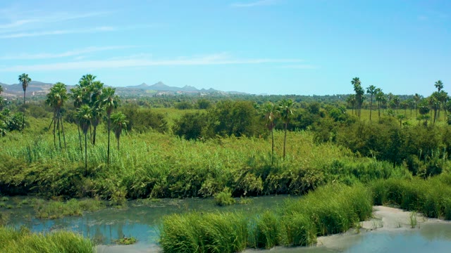 SAN JOSE DEL CABO BCS MEXICO-2021: Rising View of River and Lush Fields