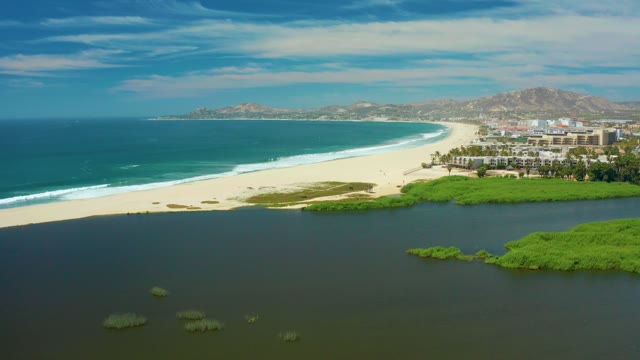 SAN JOSE DEL CABO BCS MEXICO-2021: Mangrove Patches Drifting in Coastal Lagoon