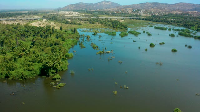 SAN JOSE DEL CABO BCS MEXICO-2021: Flooded River Area with Submerged Trees and Vegetation