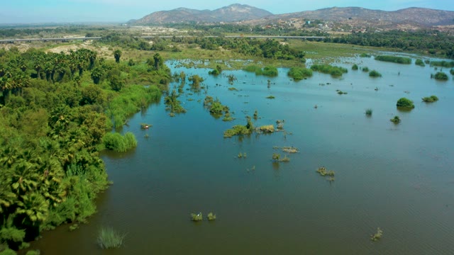 SAN JOSE DEL CABO BCS MEXICO-2021: Flooded Field with Submerged Trees and Vegetation