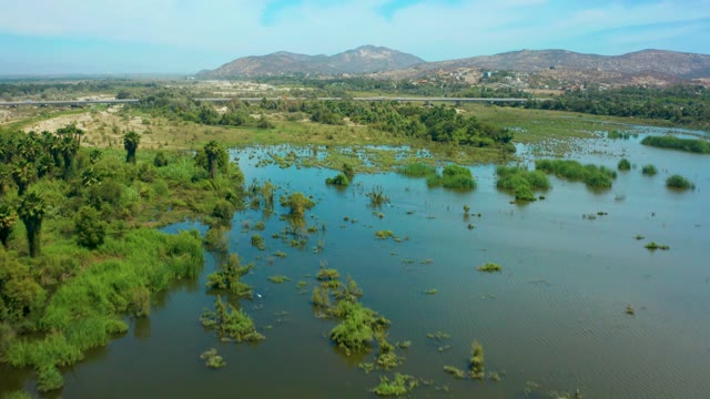 SAN JOSE DEL CABO BCS MEXICO-2021: Flooded Wetland with Submerged Trees and Distant Hills