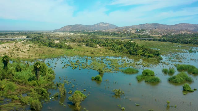 SAN JOSE DEL CABO BCS MEXICO-2021: Flooded Wetland with Scattered Greenery and Distant Road