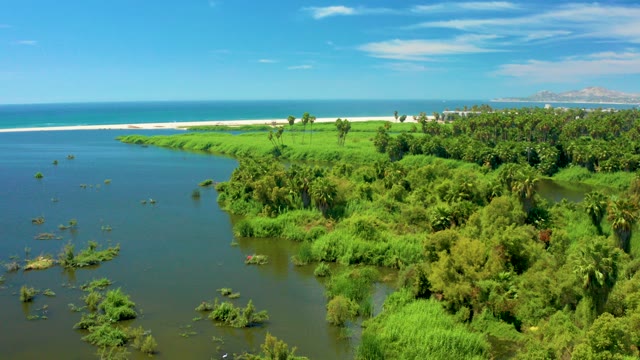 SAN JOSE DEL CABO BCS MEXICO-2021: Lush Coastal Wetland with River Flowing to Ocean