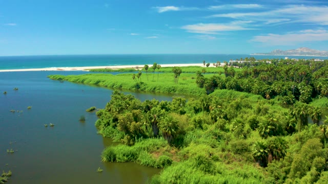 SAN JOSE DEL CABO BCS MEXICO-2021: Lush Coastal River Flowing to Ocean Shore