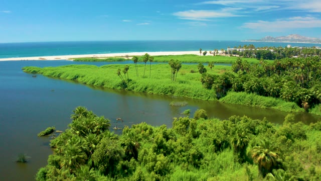SAN JOSE DEL CABO BCS MEXICO-2021: Aerial River Flowing to Sandy Beach and Ocean