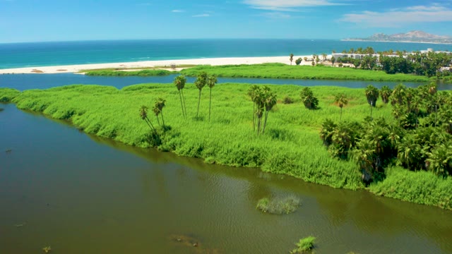 SAN JOSE DEL CABO BCS MEXICO-2021: Coastal River and Lush Greenery Along Sandy Shore