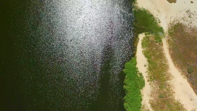 SAN JOSE DEL CABO BCS MEXICO-2021: Receding Tide Exposing Sandy Shore and Mangroves