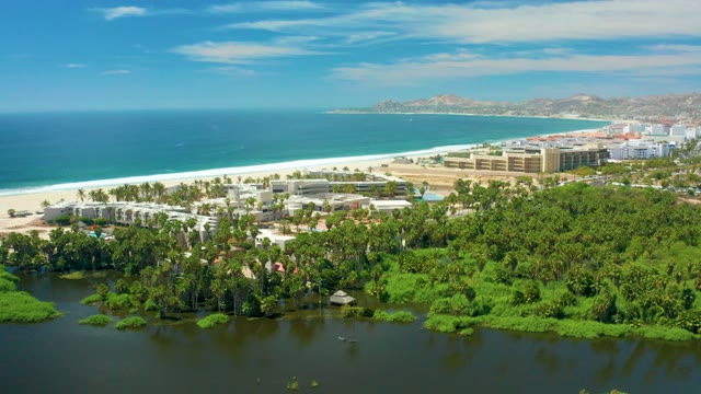 SAN JOSE DEL CABO BCS MEXICO-2021: Lagoon Vegetation Drifting by Beachfront Buildings
