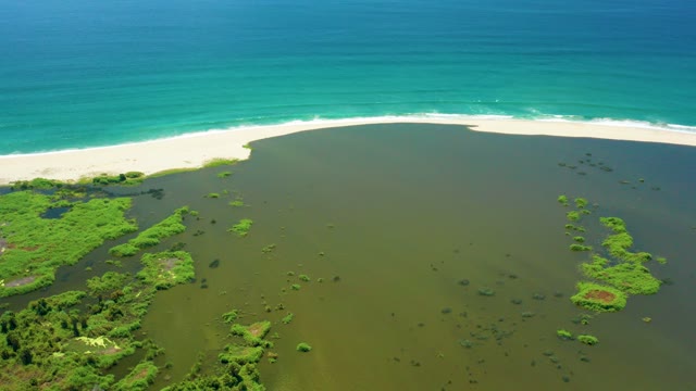 SAN JOSE DEL CABO BCS MEXICO-2021: Lagoon and Ocean with Mangrove Vegetation