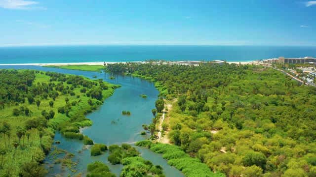 SAN JOSE DEL CABO BCS MEXICO-2021: Tidal River Receding, Exposing Riverbed in Lush Landscape