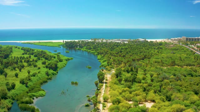 SAN JOSE DEL CABO BCS MEXICO-2021: River Merging with Ocean Amid Lush Greenery