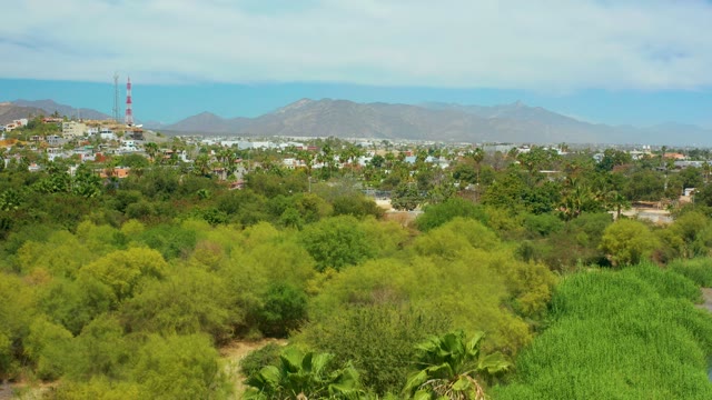 SAN JOSE DEL CABO BCS MEXICO-2021: Swaying Palm Fronds Over City and Mountain View