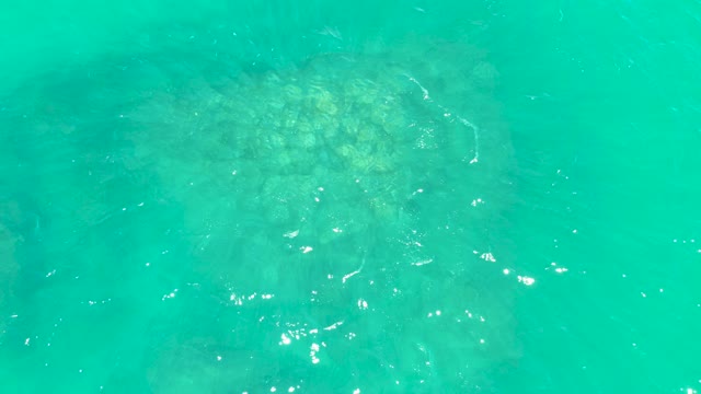 MARQUIS LOS CABOS BCS MEXICO-2021: Underwater Rock Formation Visible Through Clear Turquoise Water
